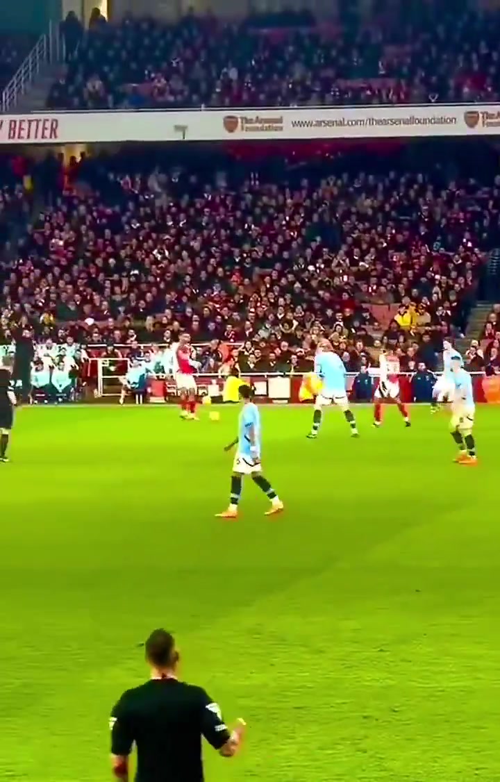 金年会体育急坏了😂恩瓦内里进球前几度要球几乎要摊手，赖斯送上神助攻