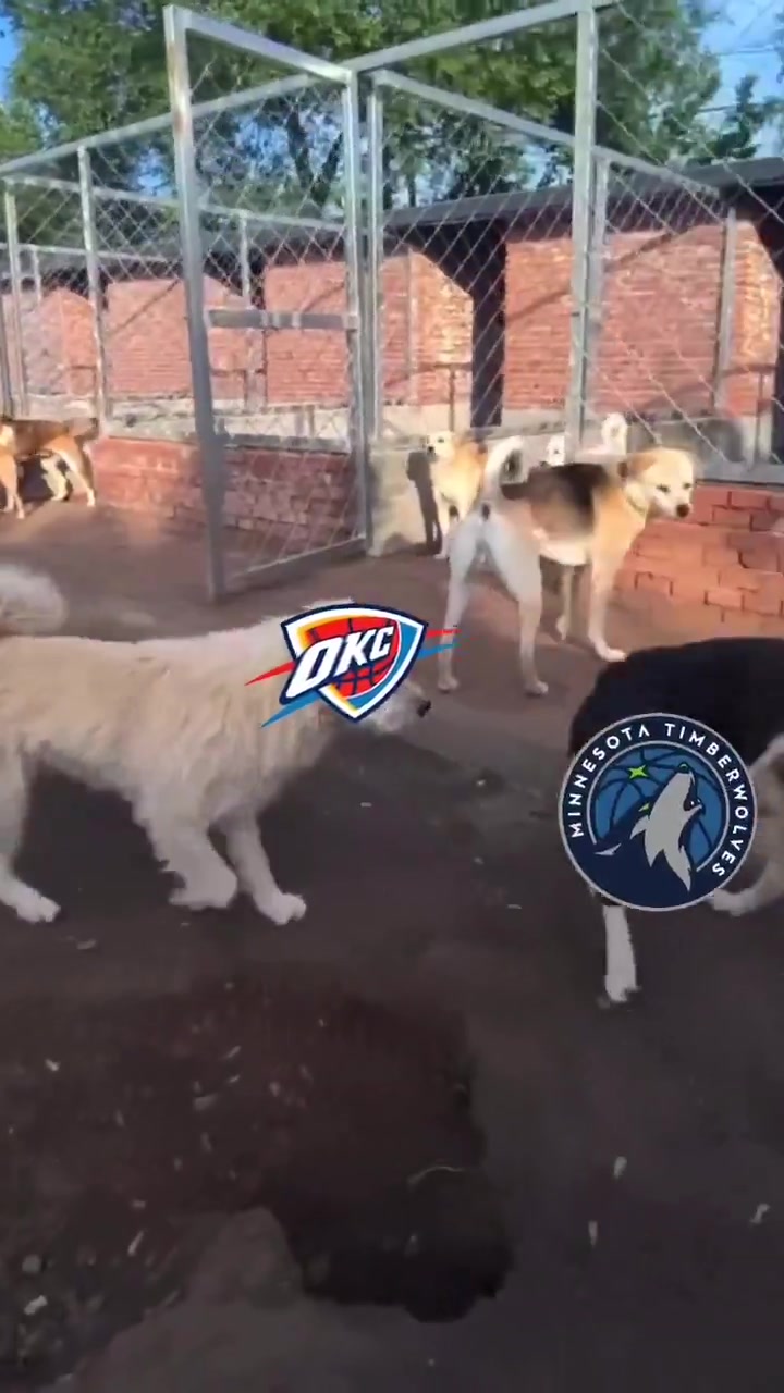 金年会体育🔥火到国外了！俄城警察局P图庆祝雷霆西部冠军：狗王来也~